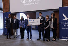 E HUB Falcon nest