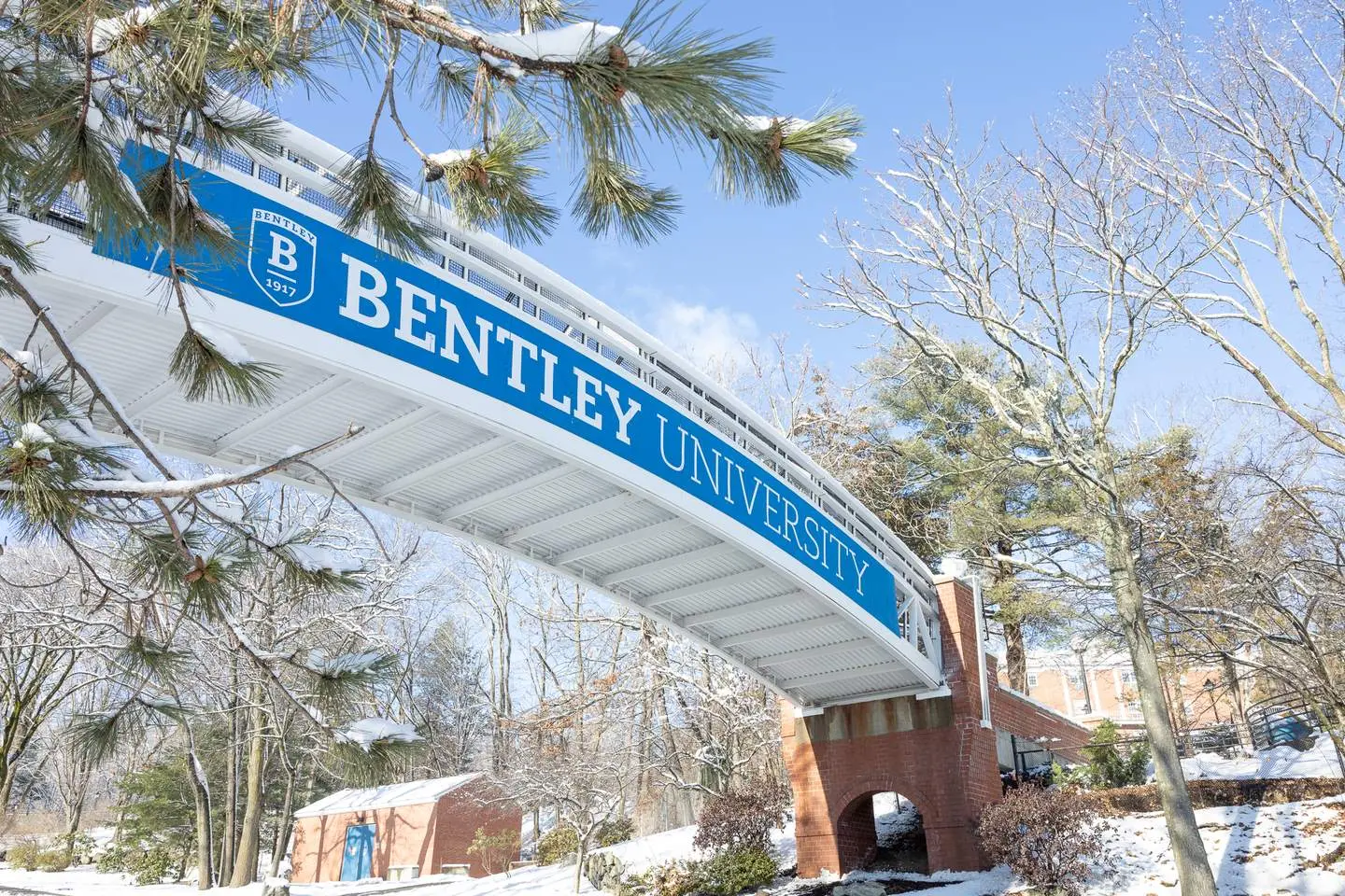 Bentley University foot bridge framed by snowy pine trees