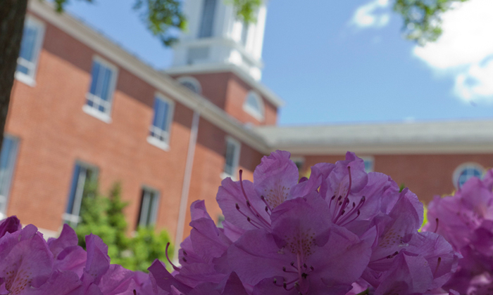 Bentley Library