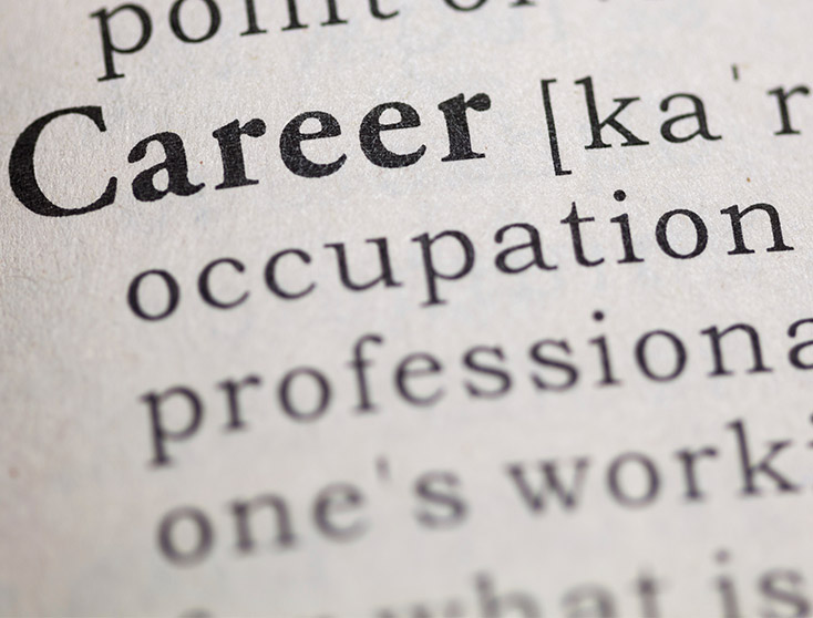 Dictionary Definition of Career