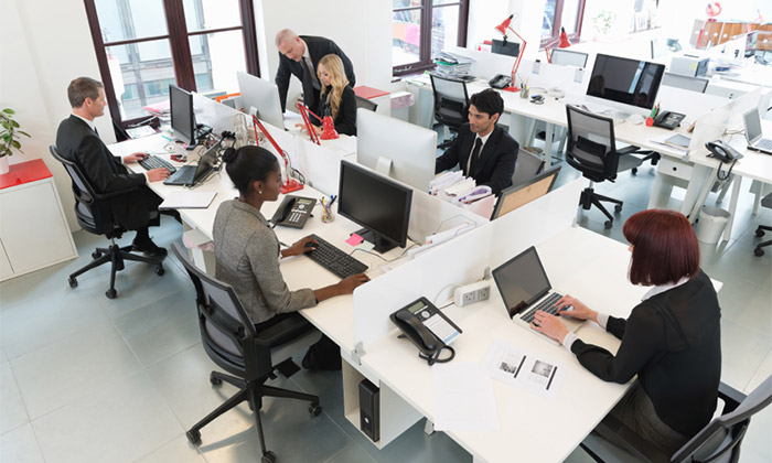 Millennials Don't Actually Prefer an Open Office Layout | Bentley University