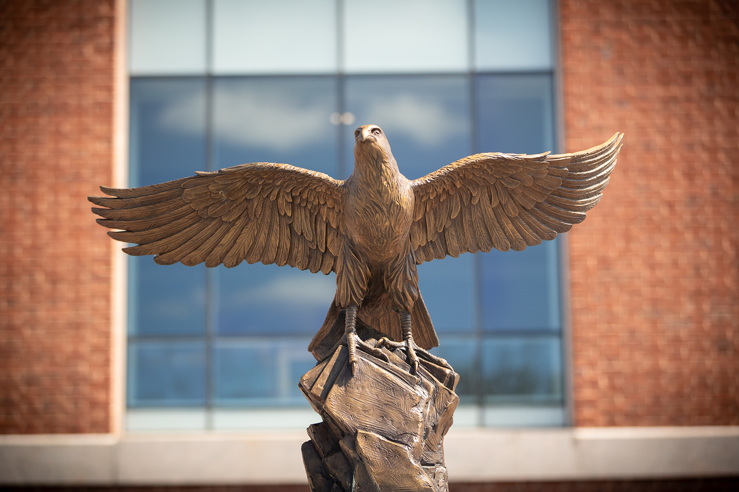 Falcon Business Directory Bentley University