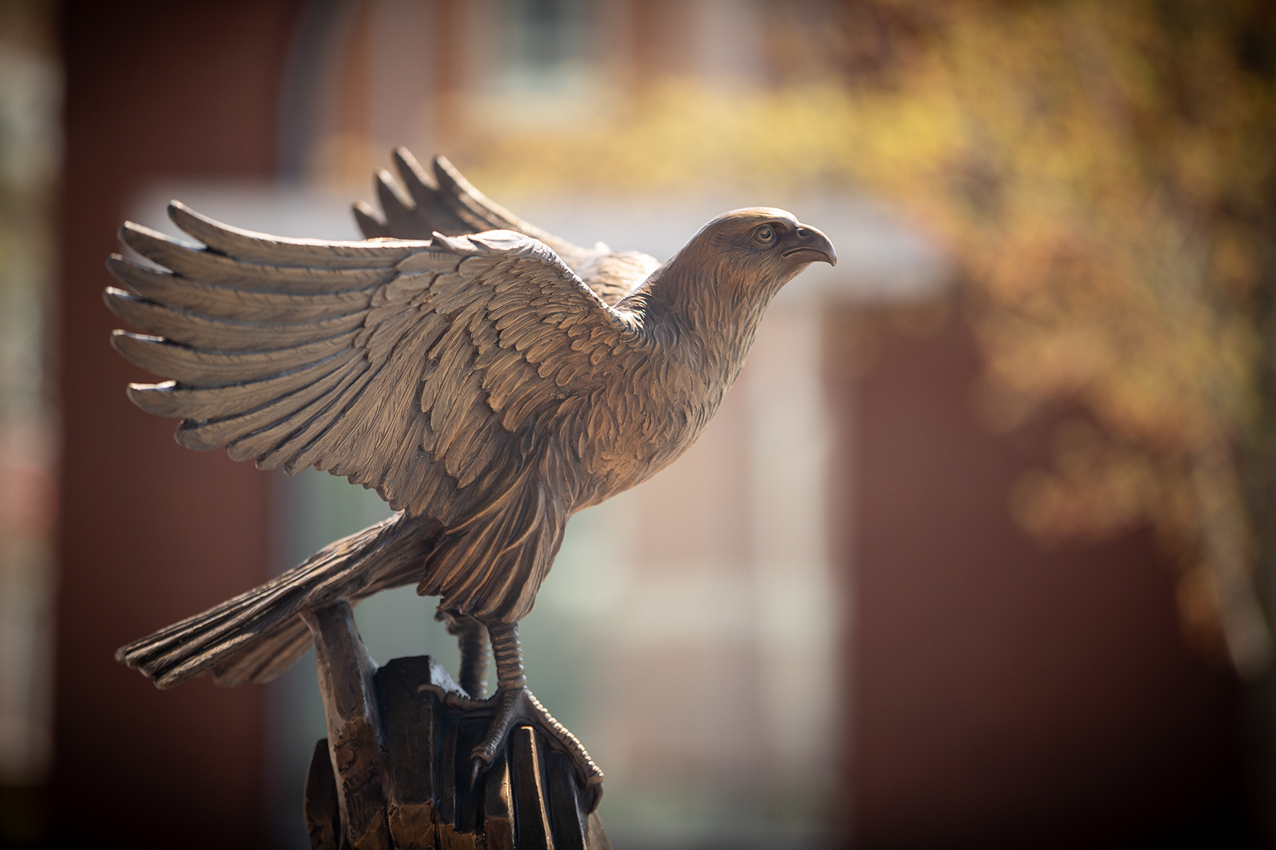 Falcon Statue