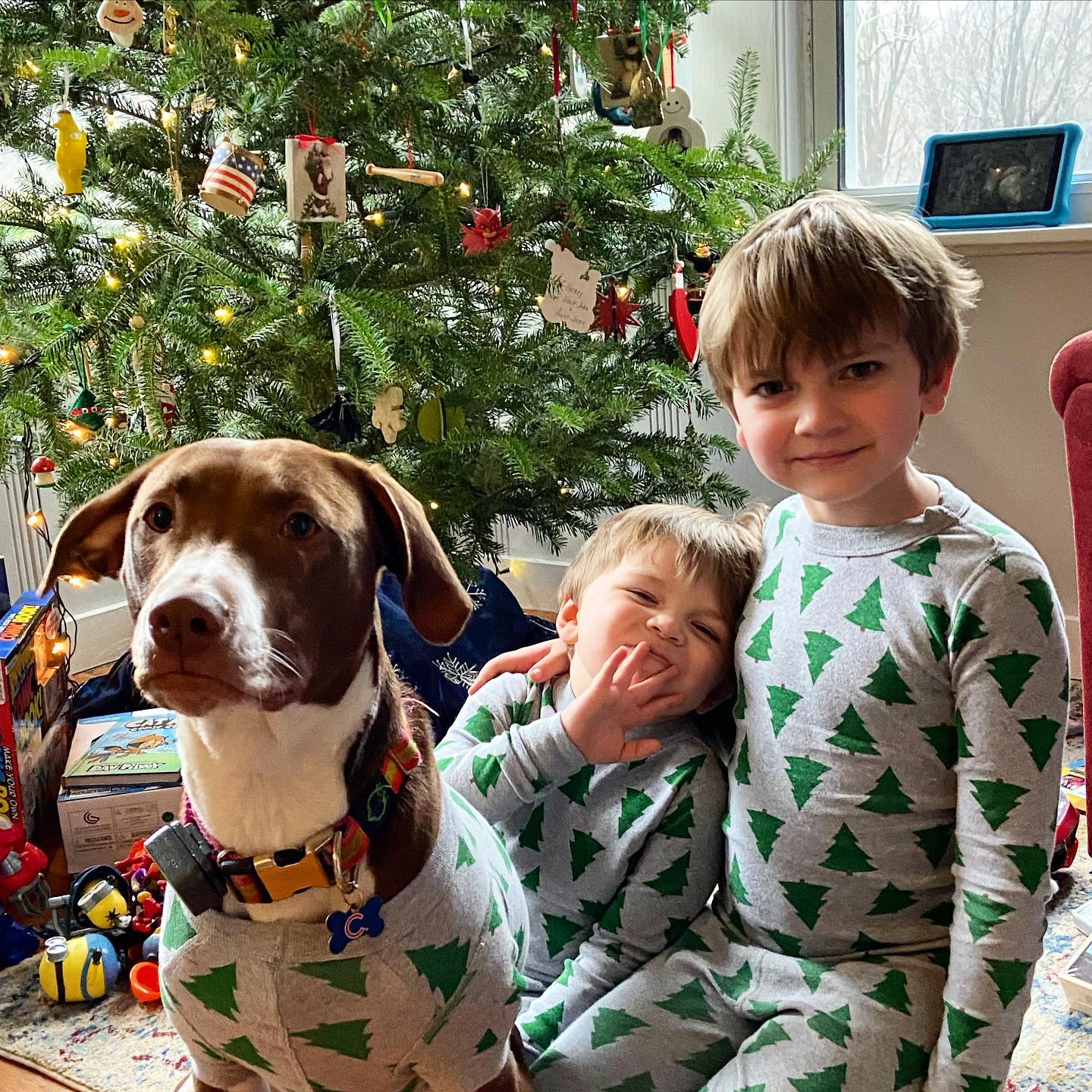 A dog with two boys