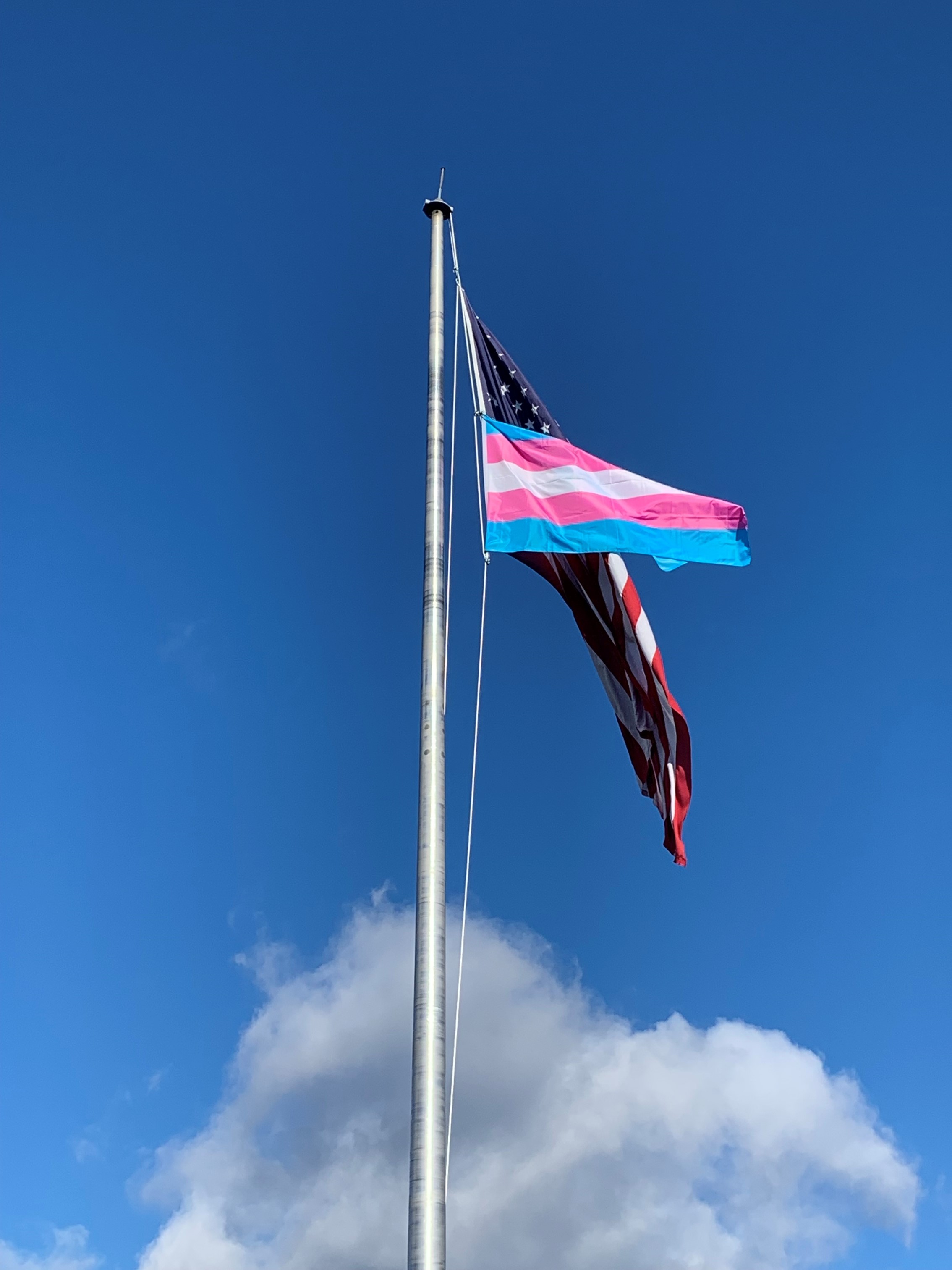 Transgender flag at Bentley University