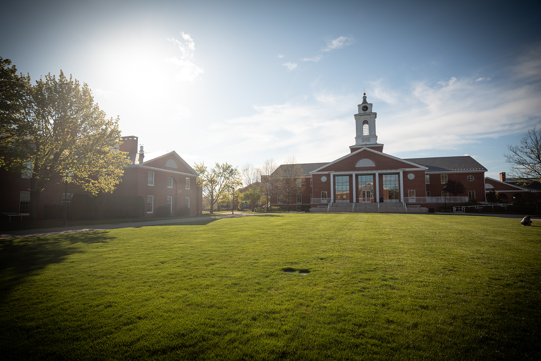 Bentley Library in the spring