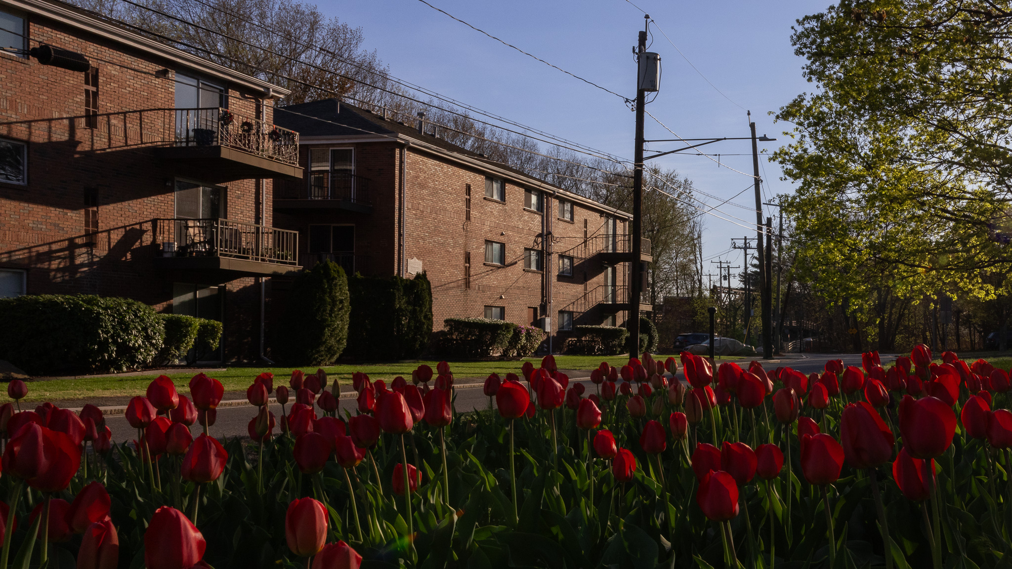 This image is of two apartment buildings that will be turned into new residence halls.