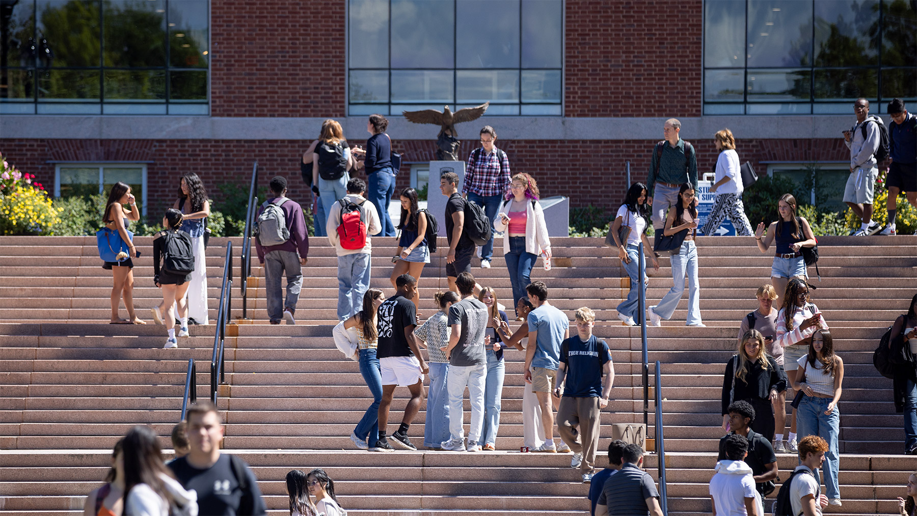 a group of students climbing stairs 