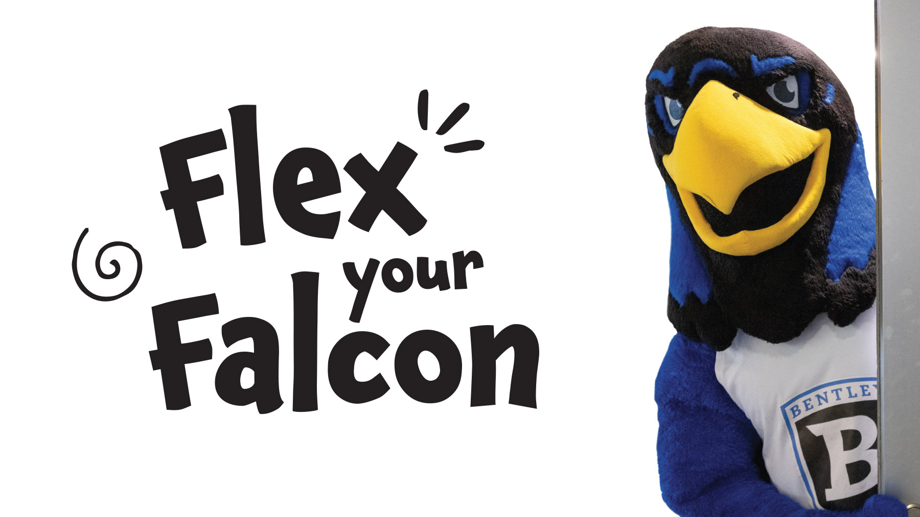 flex your falcon