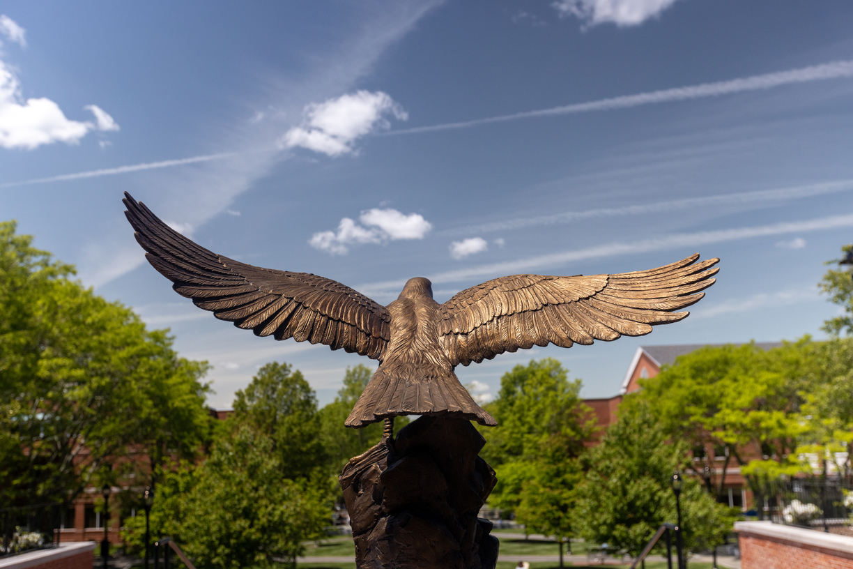 Bentley University bronze statue of a soaring falcon with wings spread against a blue sky and green trees below