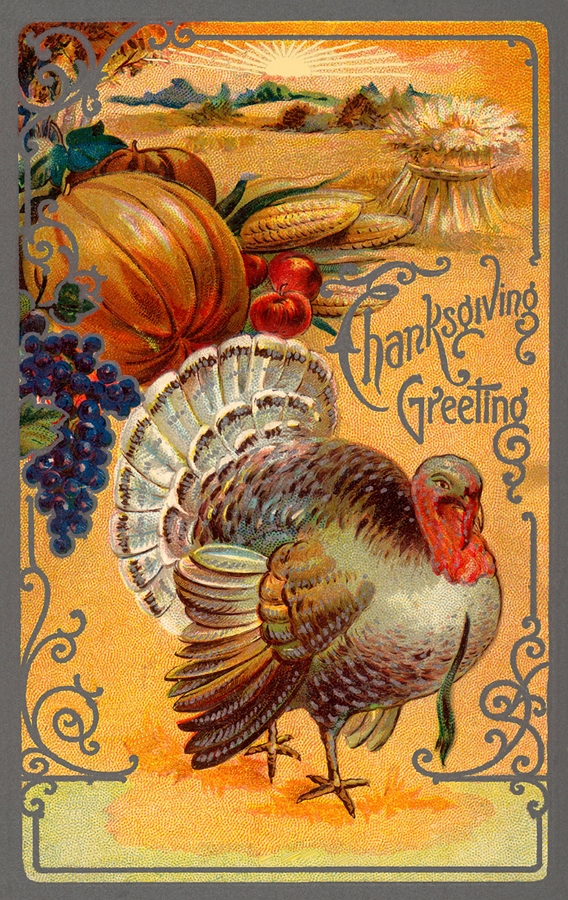 Thanksgiving Greetings