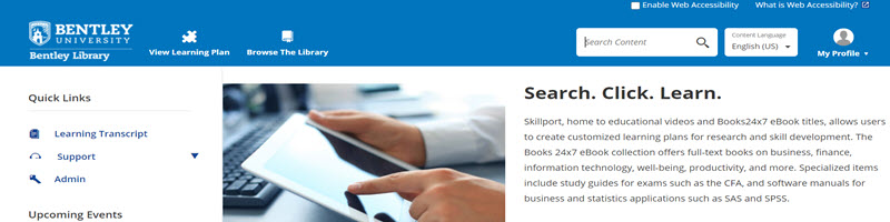 Screenshot of the Books24x7/Skillport homepage.