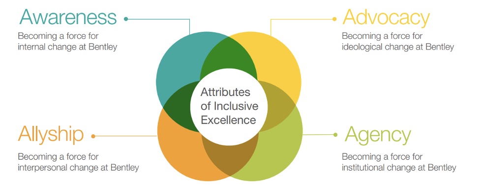The 4 Attributes of Inclusive Excellence: Awareness, Allyship, Advoacy and Agency