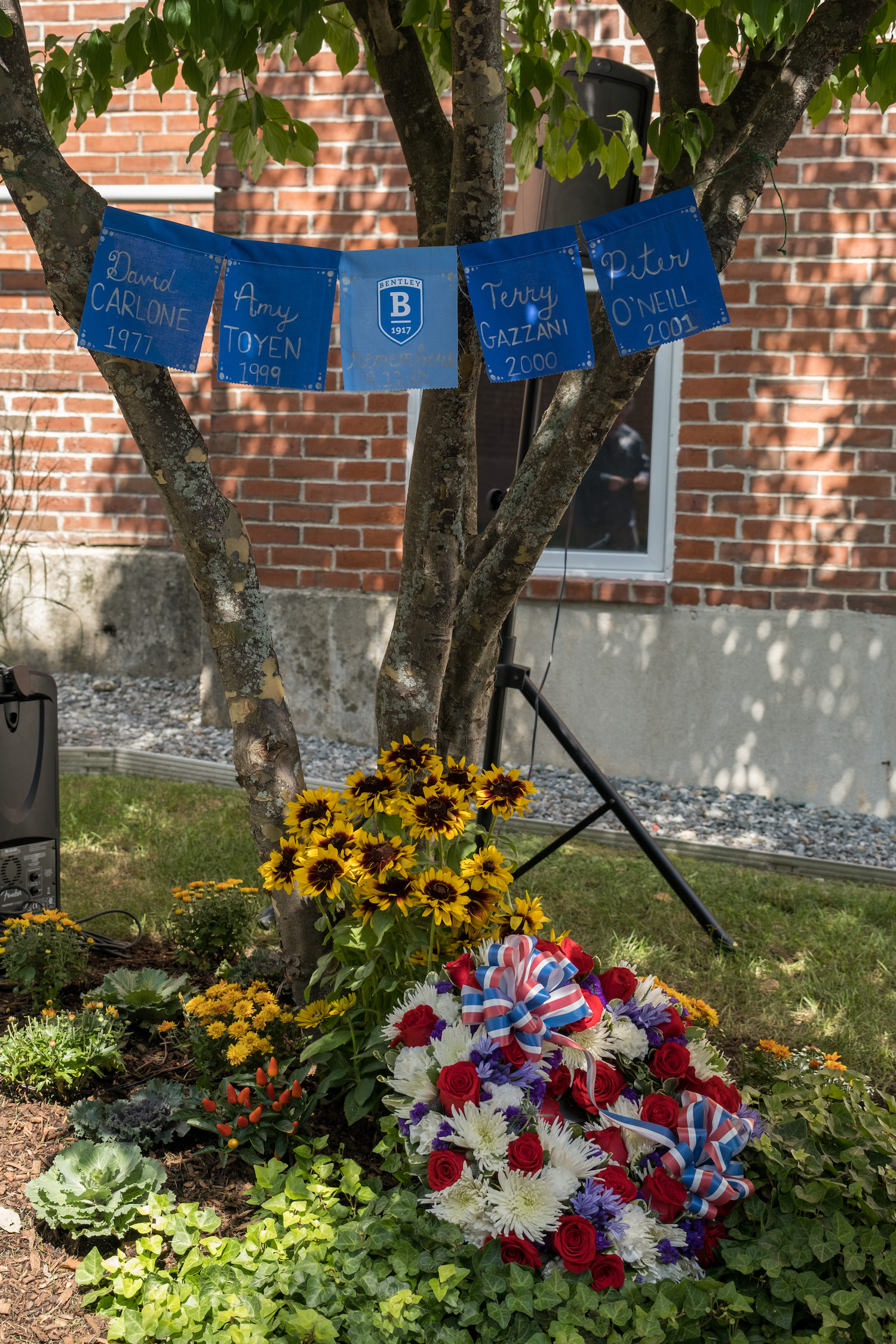 Commemoration tree, wreath and flags