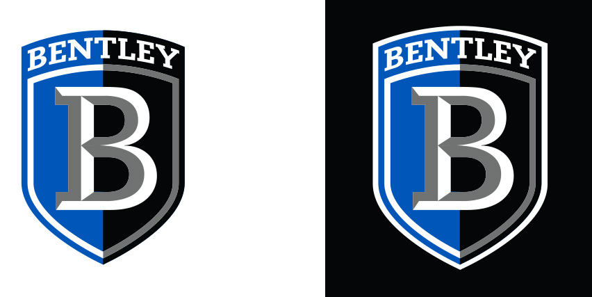 Bentley University Falcons One Day Football Clinic College Football Camps