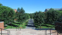 Bentley University Library Steps
