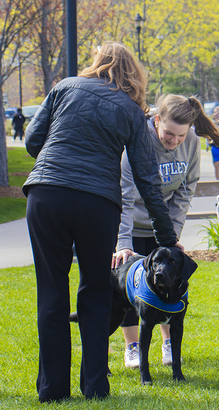 Blue with a group being pet