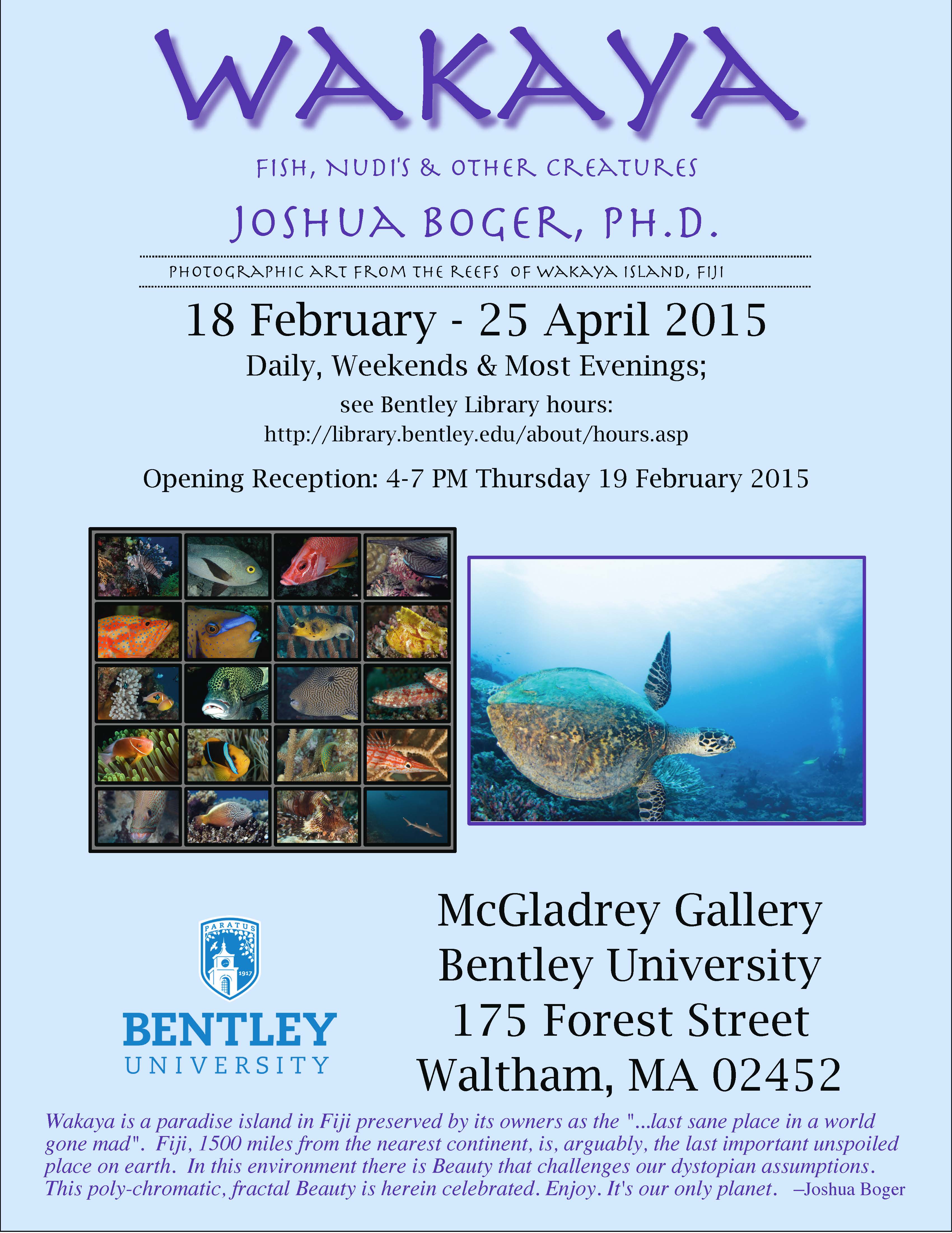 flyer advertising the Josh Boger exhibit that includes an underwater photograph of a turtle and a photo collage of fish