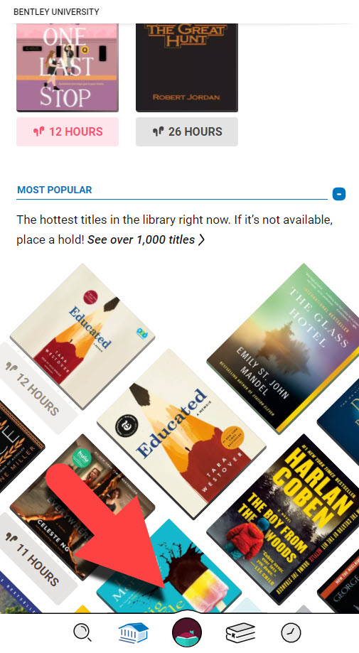 Libby app screenshot. Indicates menu at the bottom of the screen.