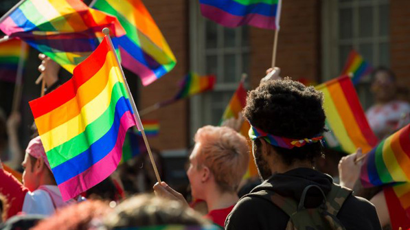 gender and sexuality student programs