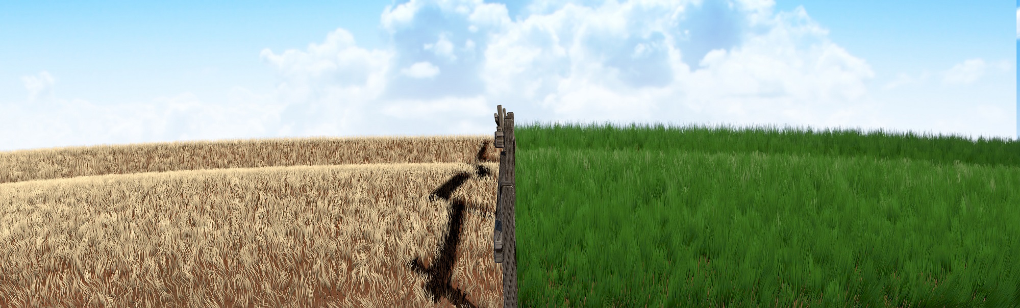 Two sides of a field, one with dull grass and the other with bright grass