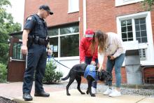 Blue the comfort dog greets students on move in day 2021