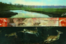 A River Twice by Bradford Johnson exhibit
