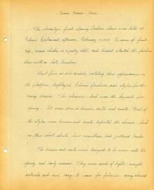 Beta Sigma Alpha Sorority Archive File