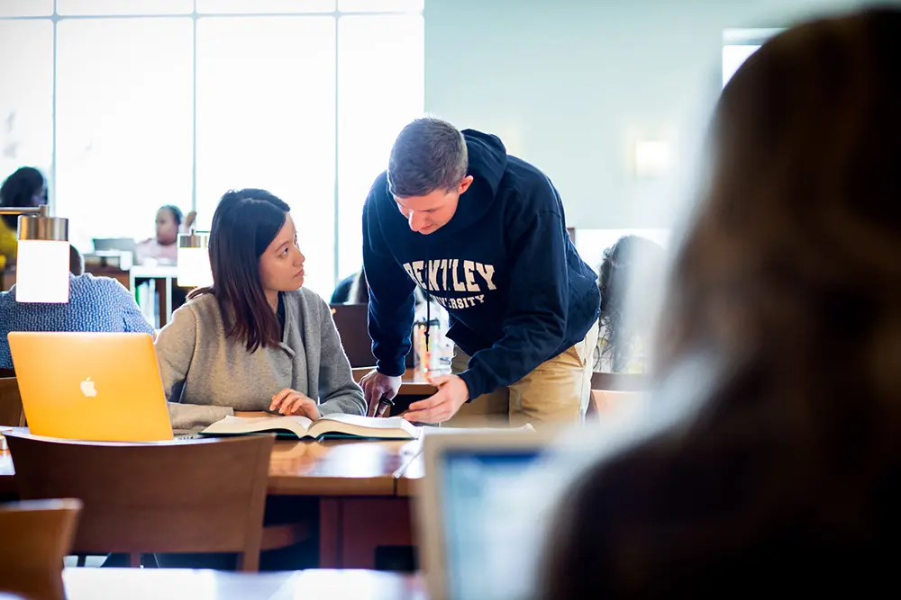 two students study together