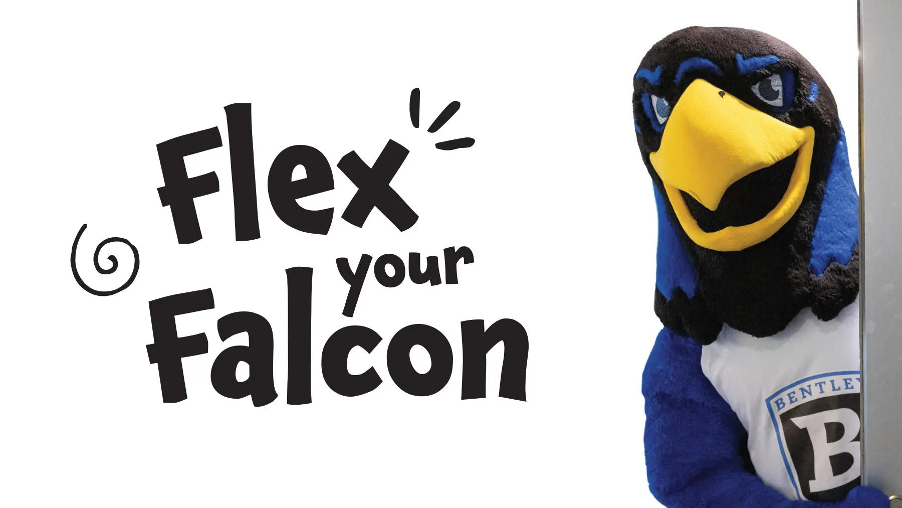 flex your falcon