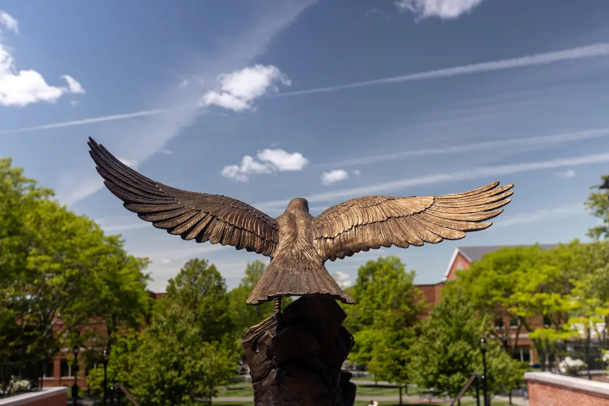 Bentley University bronze statue of a soaring falcon with wings spread against a blue sky and green trees below