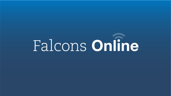Falcons Online