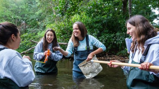 Assistant professor Betsy Stoner and three female students standing waist-deep in water as they explore the biodiversity of a small lake on Bentley's campus. 