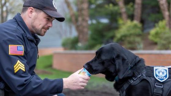 Bentley campus police officer with black lab therapy dog name Blue