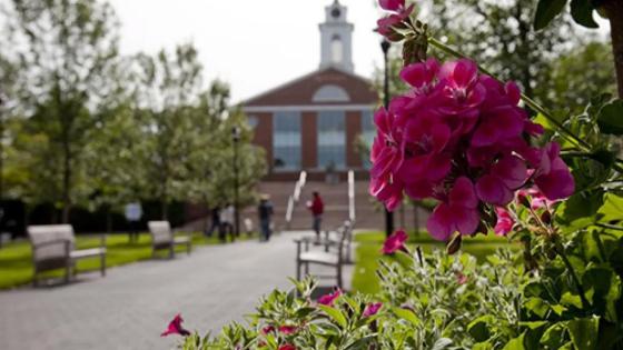 a pink flower with a view of the Bentley University campus in the background
