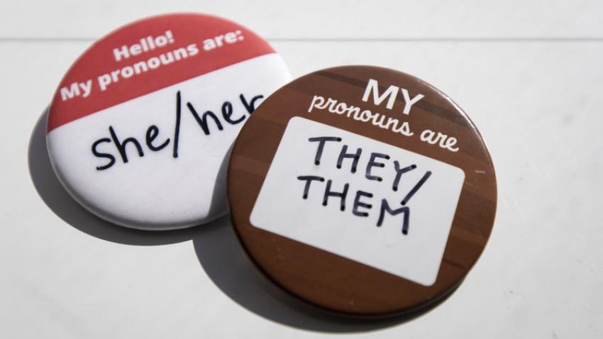 Buttons with different pronouns; she/her and they/them 