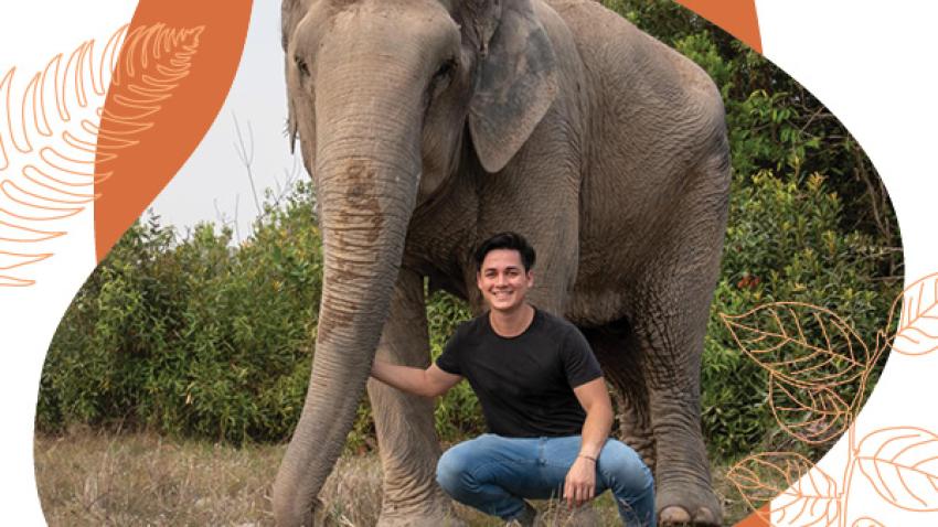 Kulen Elephant Forest, co-founded and directed by David-Jaye Piot ’17, is home to 13 formerly captive Asian elephants