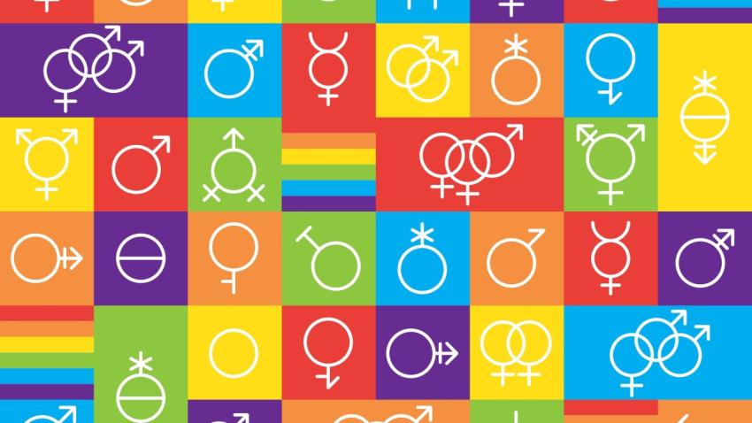 Chart in rainbow colors featuring diverse symbols denoting gender and identities.