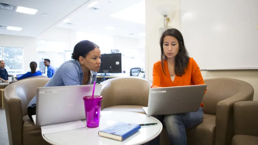 Consult with an Academic Advisor