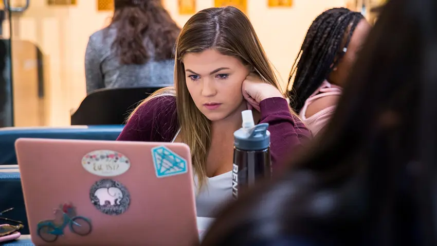 student looking at computer studying