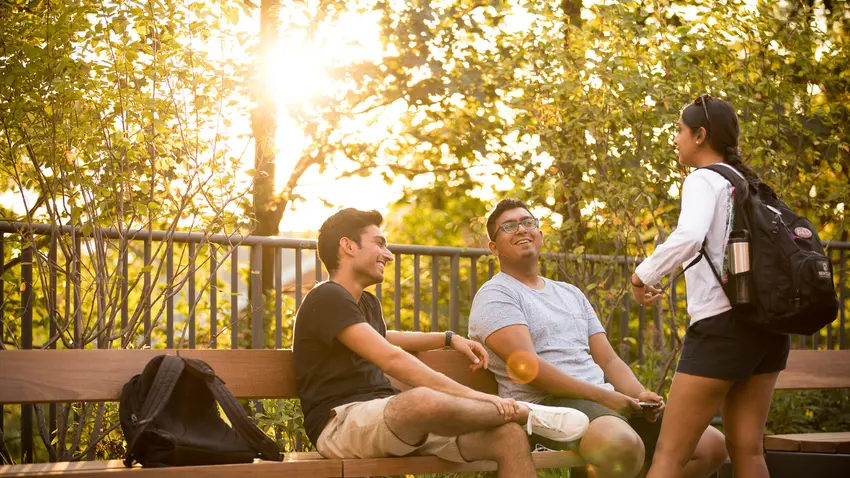 International Students