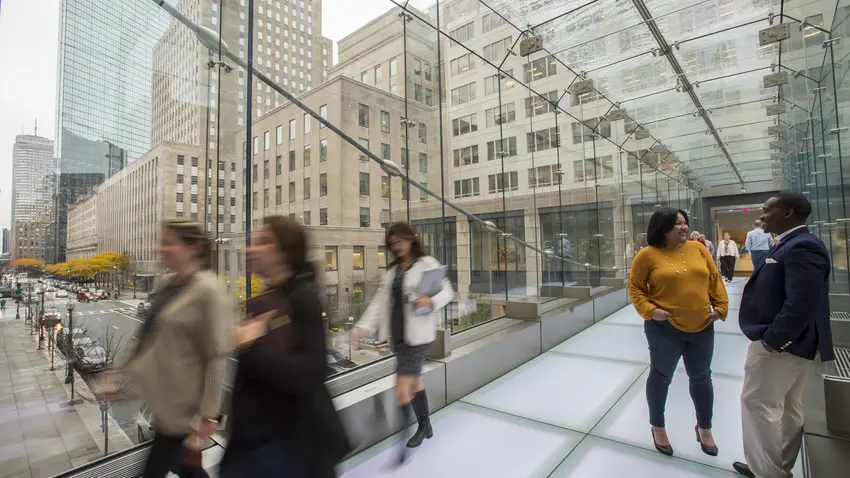 people in a professional environment in Boston