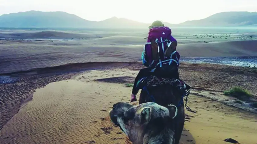 study abroad