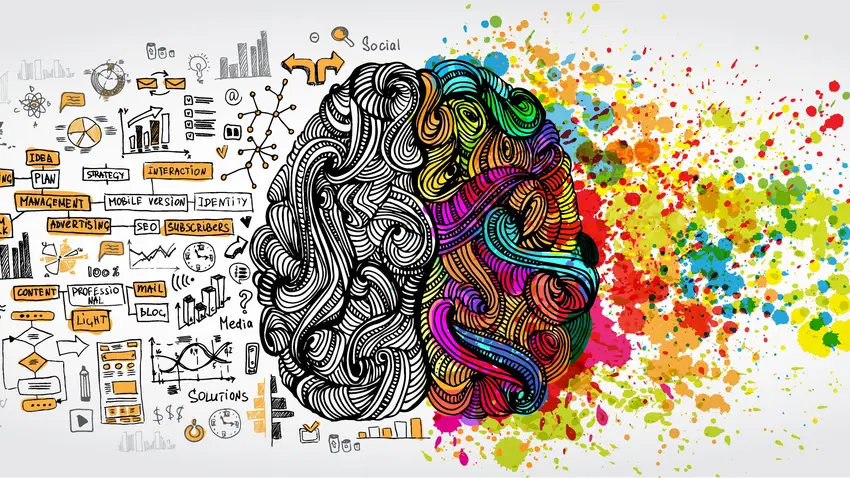 Illustration of left brain (arts) and right brain (science)