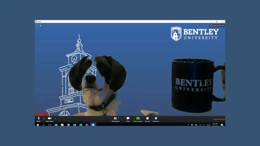 Bentley Dog
