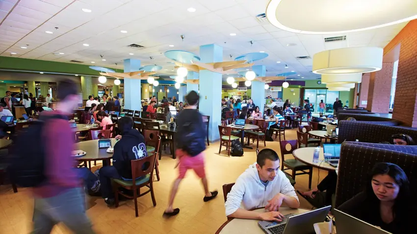 Lower Cafe