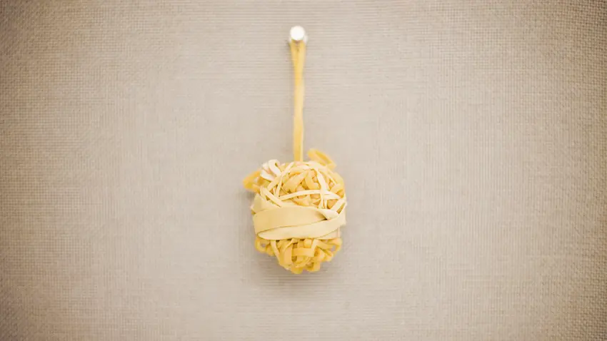 Compensation & Total Rewards