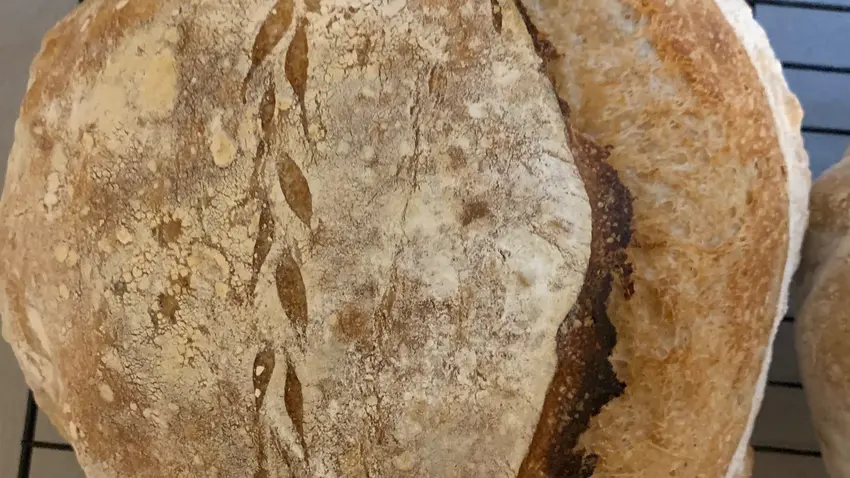 Bread