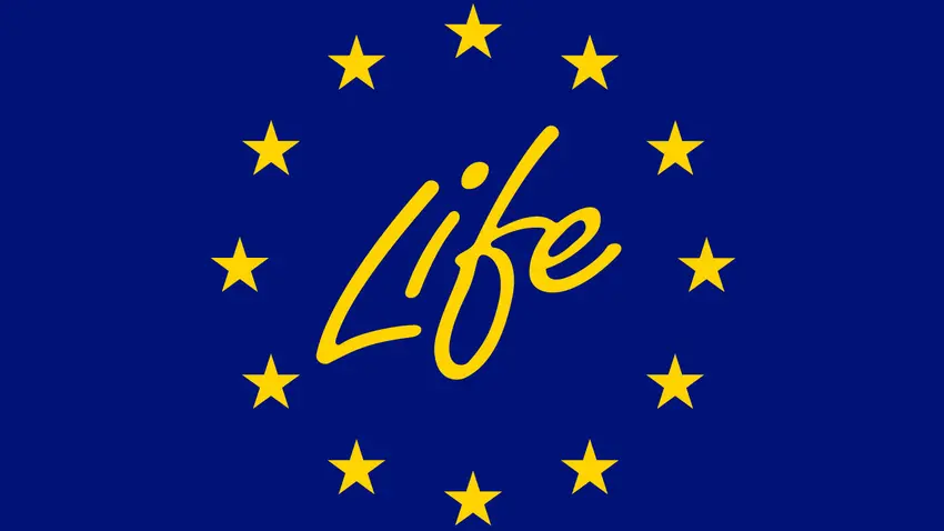 europse life
