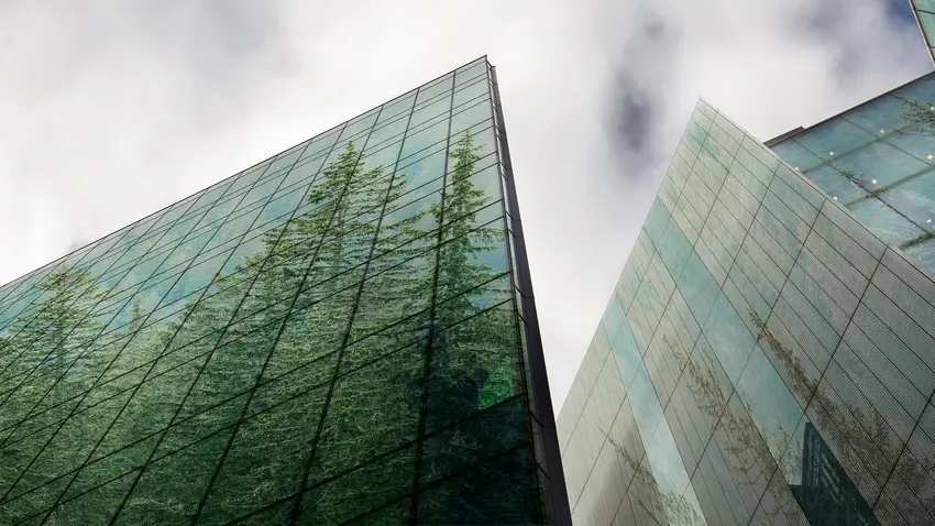 Bentley students are using the power of business to save the environment